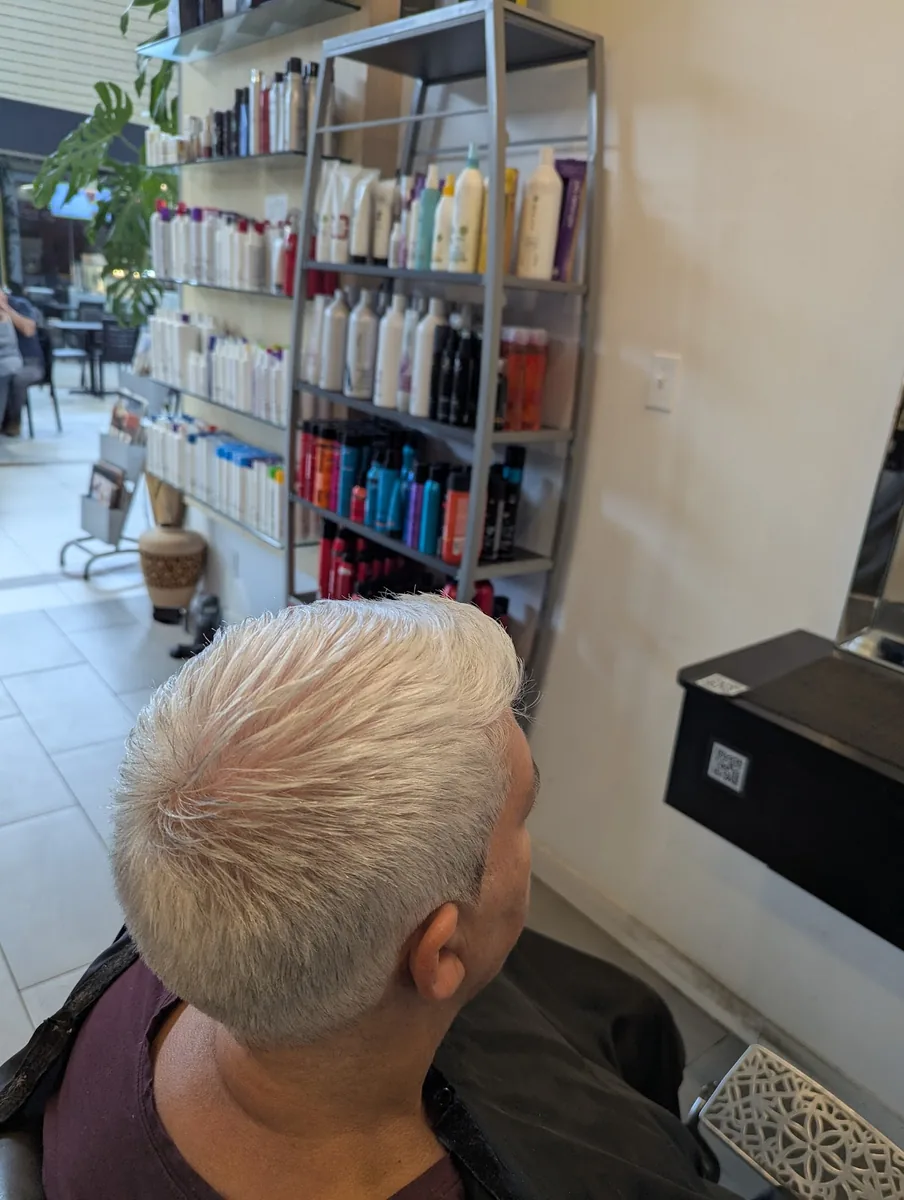 Coupe pixie très courte de couleur argentée